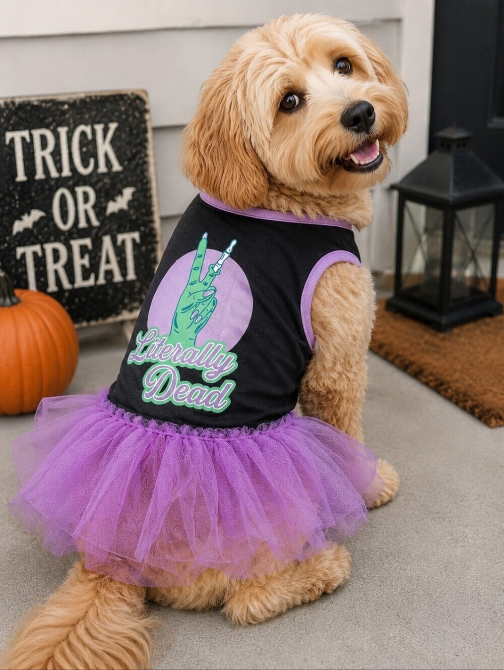 NWT Fang-Tastic Pet Apparel "Literally Dead" Dod Halloween Dress Medium M New